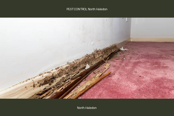 PEST CONTROL North Haledon